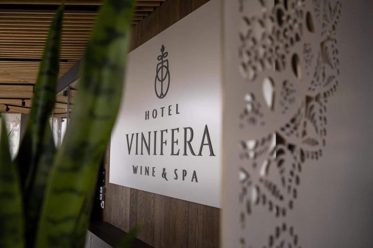 Hotel Vinifera Wine & Spa 5 Stars Superior 블로톤퓌레드 외부 사진